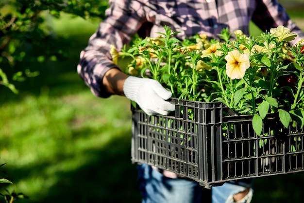 Tuinman met bloemen in een krat