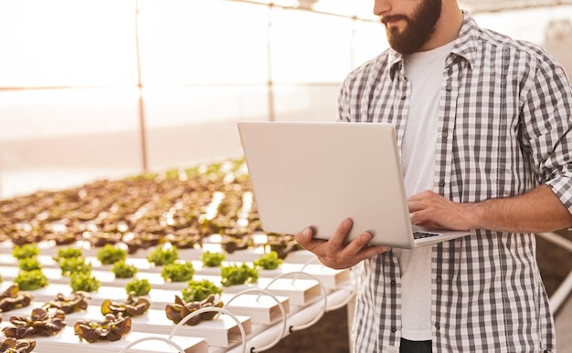 Tuinman met laptop in serre met sla