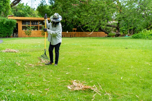 Tuinman veegt gedroogd bamboeblad op het grasveld in de tuin