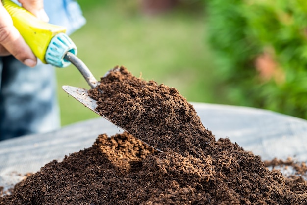 Tuinman vrouw met veenmos organisch materiaal verbeteren bodem voor landbouw biologische plant groeiende ecologie concept