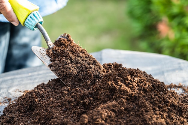 Tuinman vrouw met veenmos organisch materiaal verbeteren bodem voor landbouw biologische plant groeiende ecologie concept