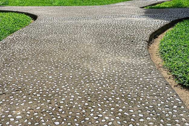 Tuinpad bedekt met kleine witte stenen. Pebble loopbrug in de tuin