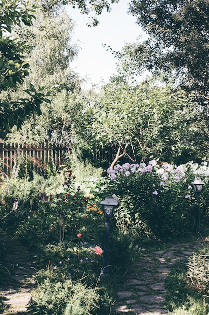 Tuinpad met bloementuin