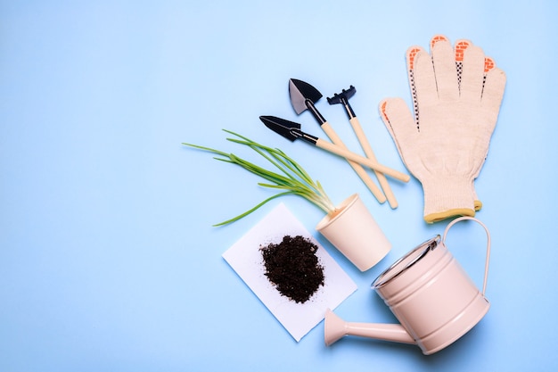 Tuinschoppen op een blauwe achtergrond. Tuinieren indeling. Lente aanplant. De verzorging van planten. Werk in de grond. blauwe achtergrond. Kopieer ruimte. Tuinhandschoenen en aarde.