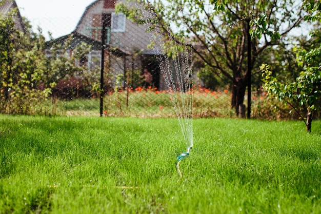 Tuinsproeier irrigeert het gazon-, tuin- en landschapsconcept