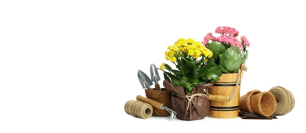 Tuinwerktuigen en -accessoires geïsoleerd op witte achtergrond