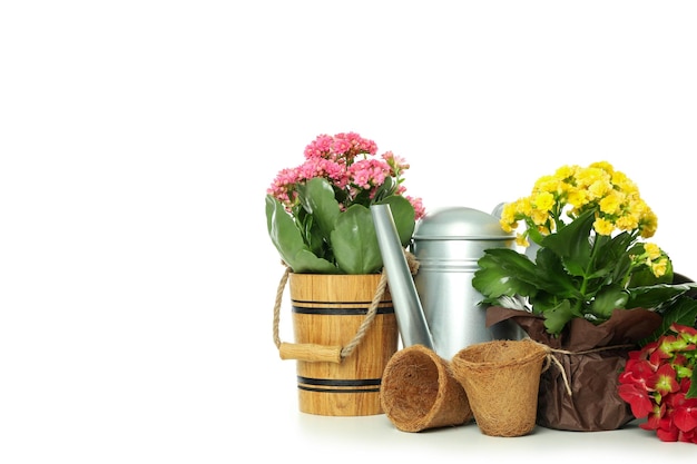Tuinwerktuigen en -accessoires geïsoleerd op witte achtergrond
