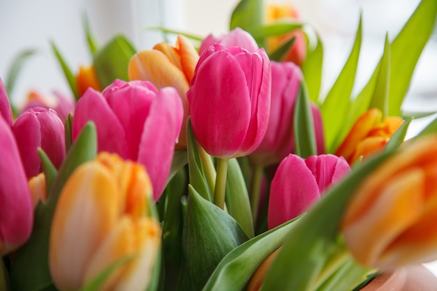 Tulip. Beautiful bouquet of tulips. colorful tulips.