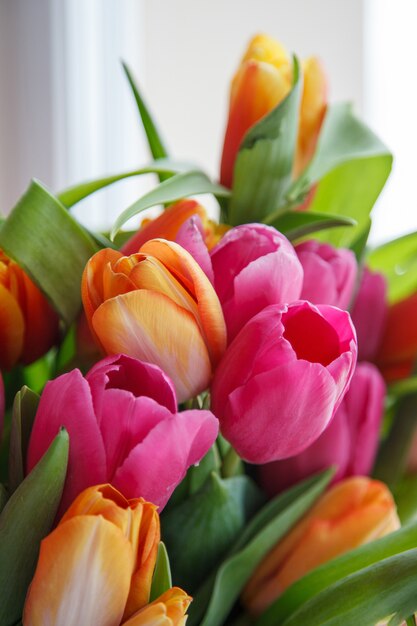 Tulip. Beautiful bouquet of tulips. colorful tulips.