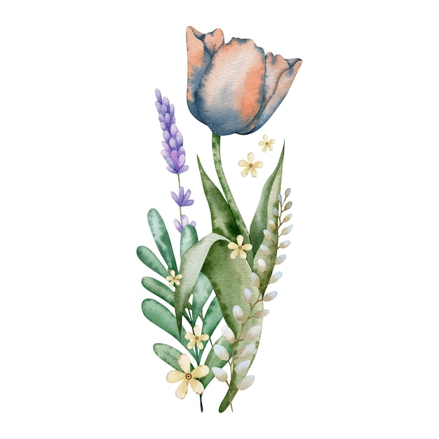 Tulip bloemboeket aquarel illustratie.