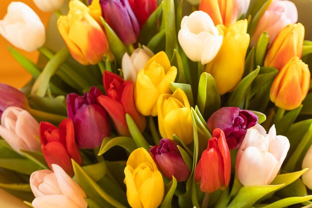 A tulip a bouquet of tulips a gift for march 8 international\
women\'s day festive decor with flowers bouquet with colorful tulips\
red tulip yellow tulip festive floral decor