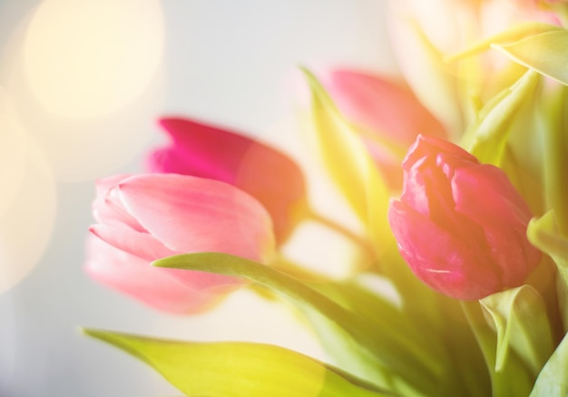 Букет тюльпанов, свадебный праздник и концепция в стиле цветочного сада