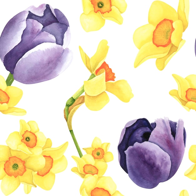 Tulip Daffodil seamless pattern on white background Watercolor hand drawing illustration Art for decoration and design