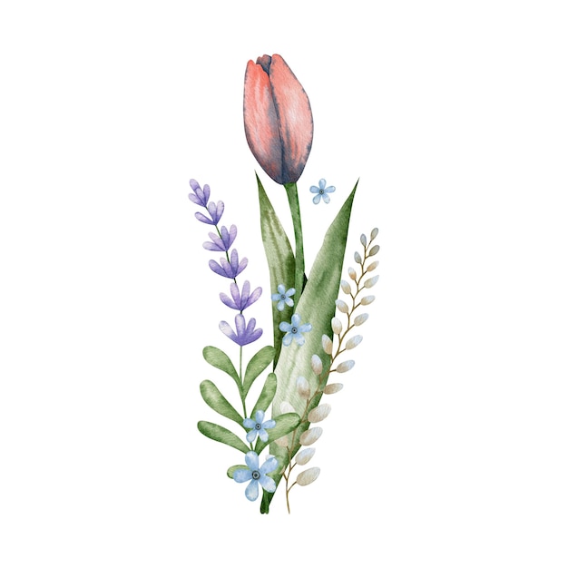 Tulip flower bouquet watercolor illustration.