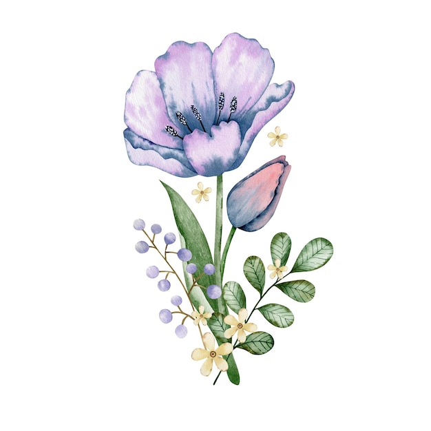 チューリップの花の花束の水彩イラスト。