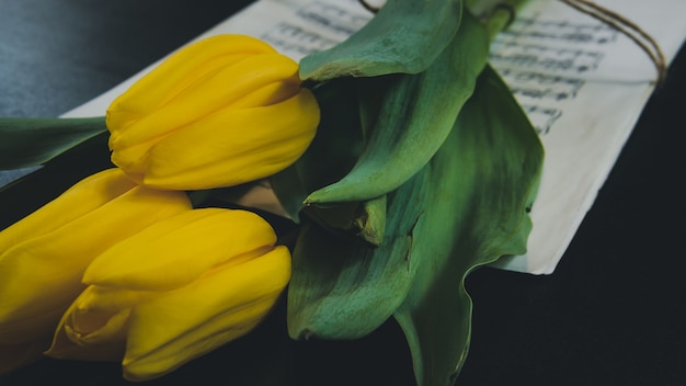 Цветок тюльпана на листе старых музыкальных нот на фоне dlack. Желтые тюльпаны.