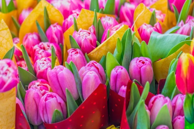 Tulip flowers bouquets background