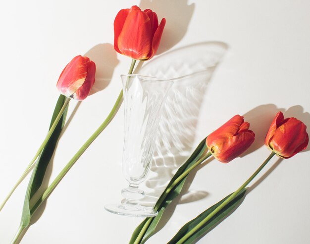 Foto fiori di tulipano su uno sfondo luminoso con l'ombra di occhiali concetto minimo piatto