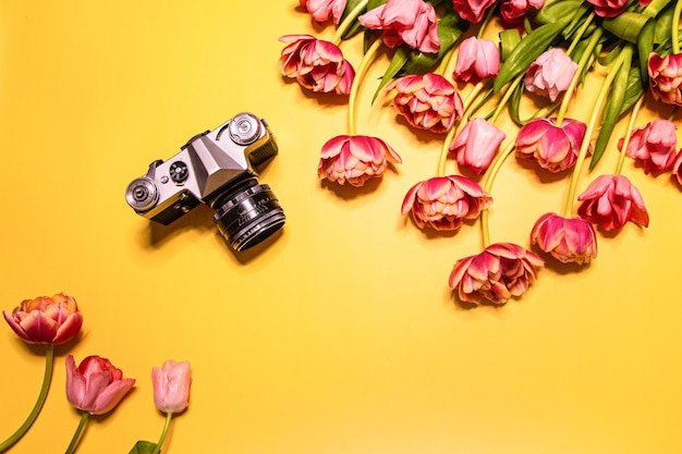 Tulip flowers and camera.