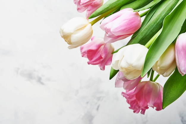 Tulip flowers pink and white bouquet  