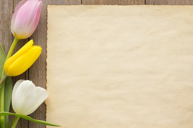 Tulip flowers on wood surface