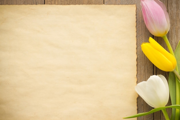 Tulip flowers on wood