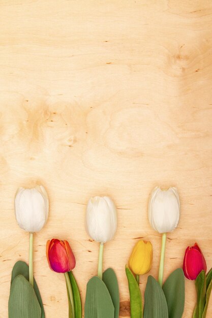 Tulip flowers on wooden background with copy space Vintage greeting card with wood and flowers