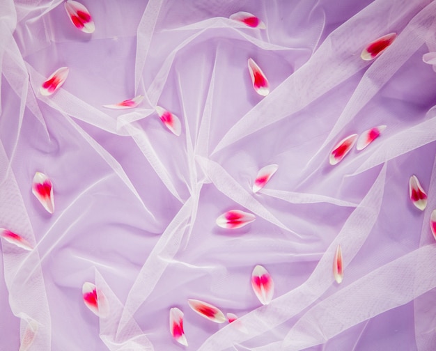 Foto petali di tulipano su sfondo viola tulle. sopra la vista