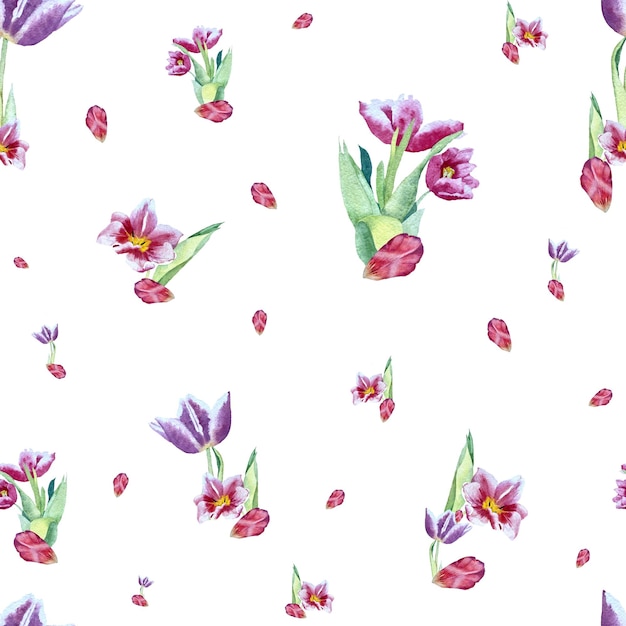 Tulip red violet pattern bouquet. A watercolor illustration. Use this high quality hand drawn pic.