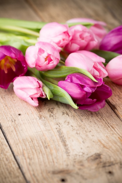 Tulip on the wooden background.