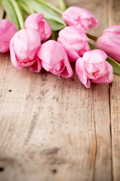 Tulip on the wooden background.