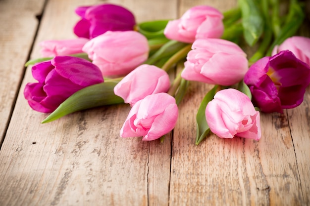 Tulip on the wooden background.