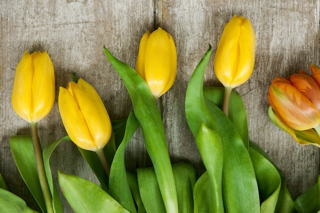 灰色の木製の背景にチューリップ黄色の花春の花束。イースター、3月8日、母の日のお祝いのためのかわいいデザイン