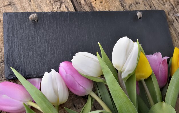 Tulips againt a slate 