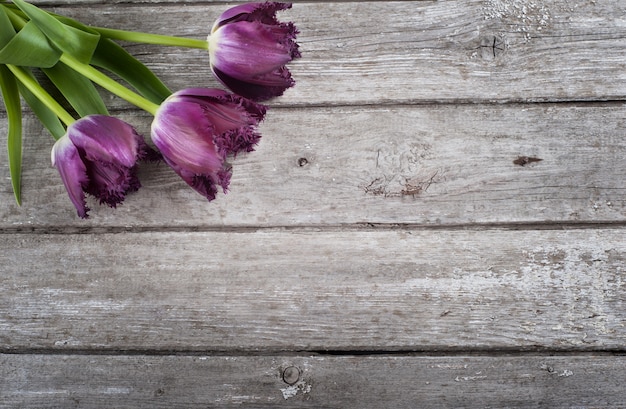 Tulips on barn wood background