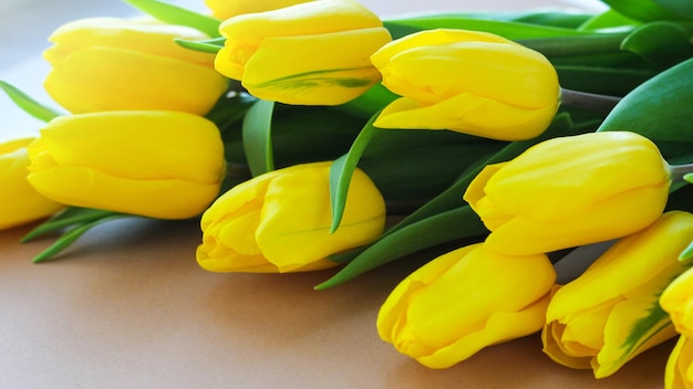 Tulips on a beige background beautiful spring-yellow flowers a gift for a woman on a holiday