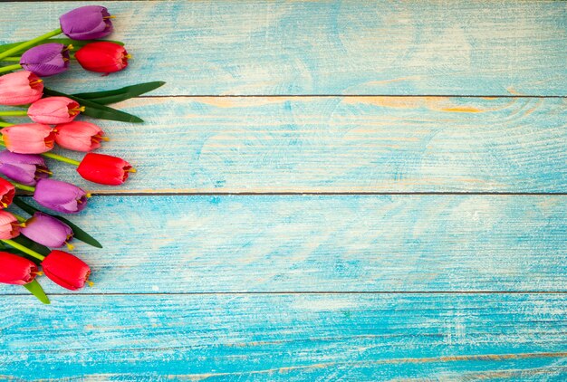 Tulips on blue wood background