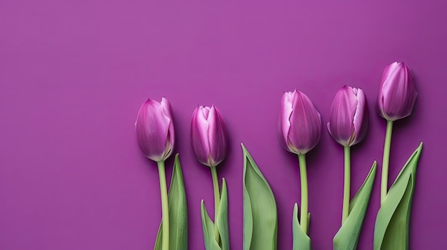 Tulips border with copy space on a colored background Beautiful frame composition of spring flowers Generative AI