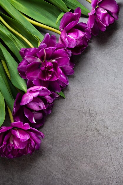 Tulips bouquet on dark grey background