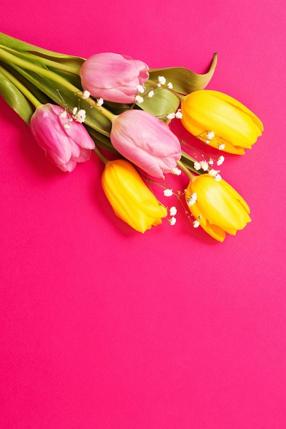 Tulips on color paper background