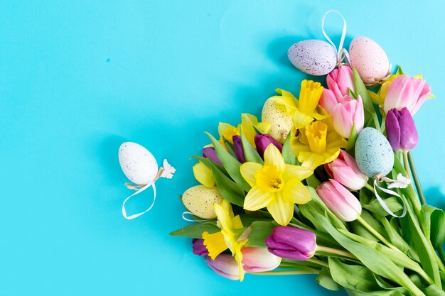 Tulips and daffodils flowers isolated