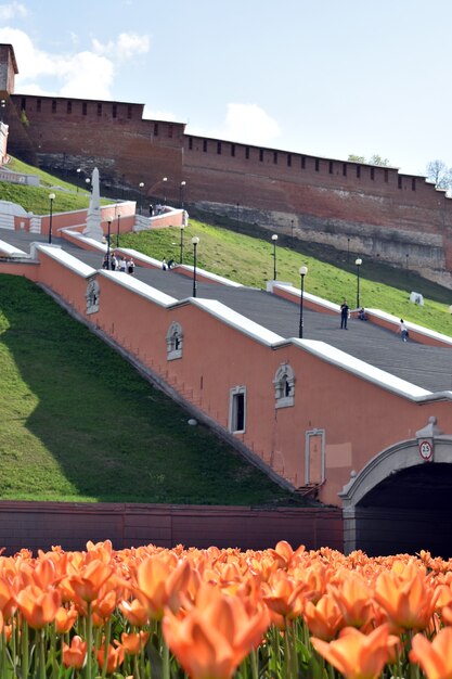 tulips at the foot of the Chkalov Staircase. Nizhny Novgorod