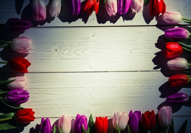 Tulips forming frame 