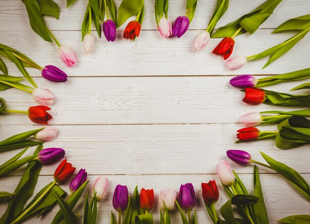 Tulips forming frame 