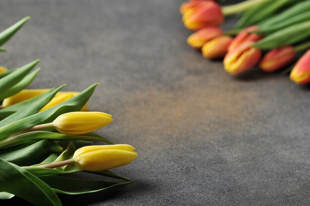 Tulips on a grey background