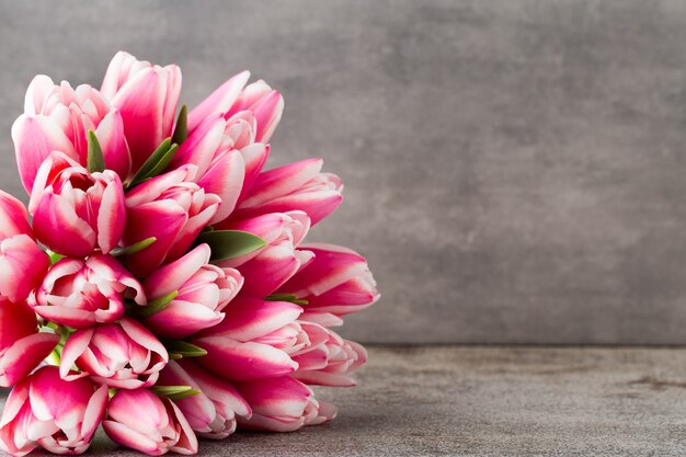 Tulips on the grey  background.