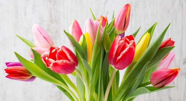 Tulips on the grey wall.