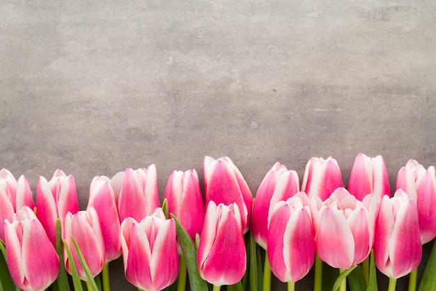 Tulips on the grey