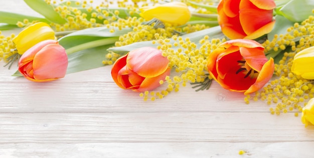 Tulips and mimosa on white wooden background