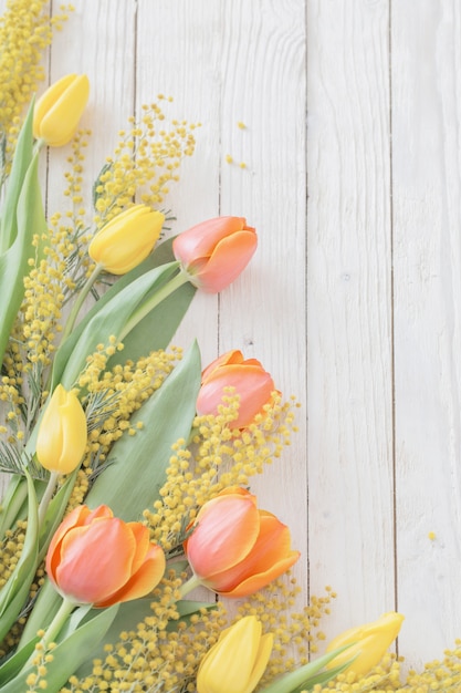 Tulips and mimosa on white wooden background